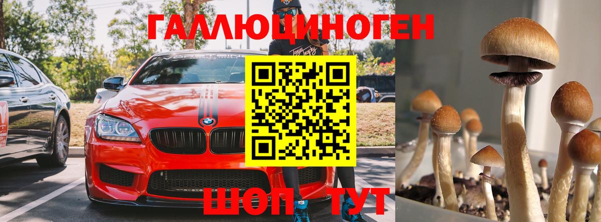 закладка  Вход с VPN  Заволжье  Галлюциногенные грибы прущие грибы 